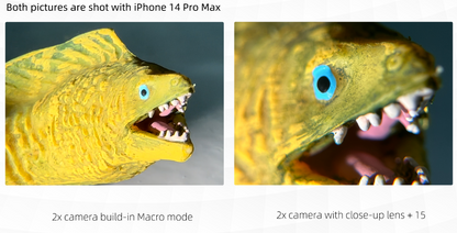 Close-up Lens+8 ‐ マクロレンズ+8