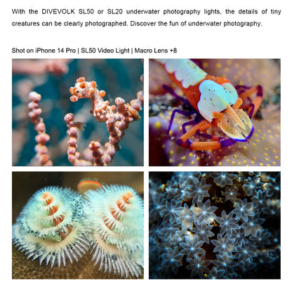 Close-up Lens+8 ‐ マクロレンズ+8